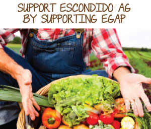 Support EGAP